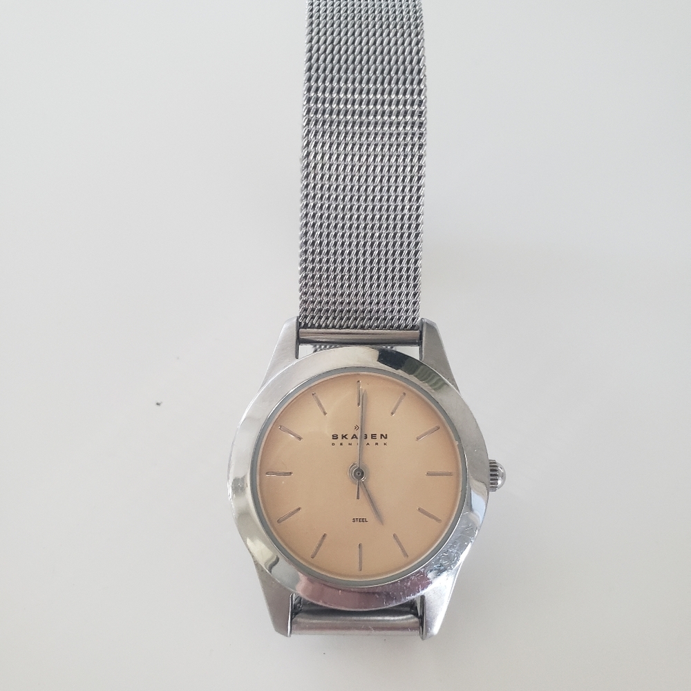 Women's Skagen Silver Watch